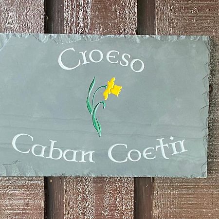 Caban Coetir Villa Cenarth Exterior photo